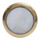 White Shell Brass Dresser Knob